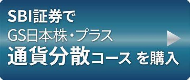 gs 日本株プラス通貨分散コースの仕組みとリスクを整理