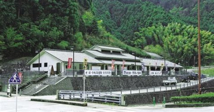 静岡駅から藤枝駅、乗り換えと所要時間を迷わず解決する旅程ガイド
