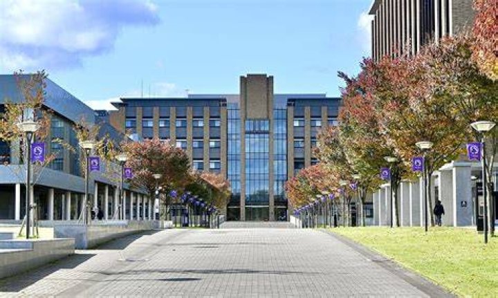 東北大学の偏差値は？目安・学部別の見方・対策まで徹底解説