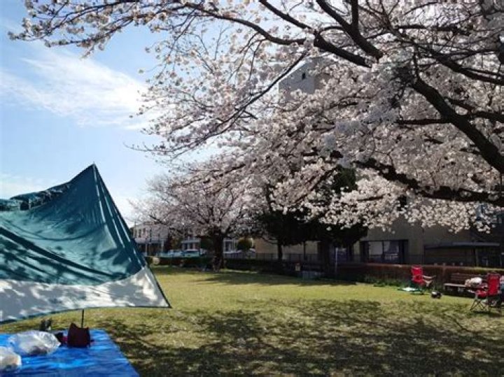 鳥居 原 ふれあい の 館とは？地域の拠点を知るためのガイド
